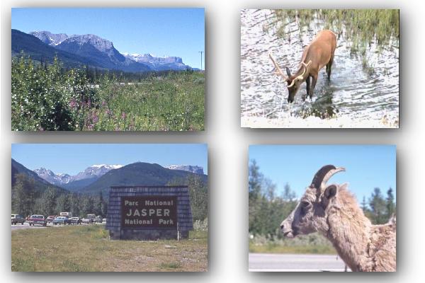 Jasper Nationalpark